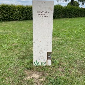 G 552 | Pusteblume Grabstein Löwenzahn